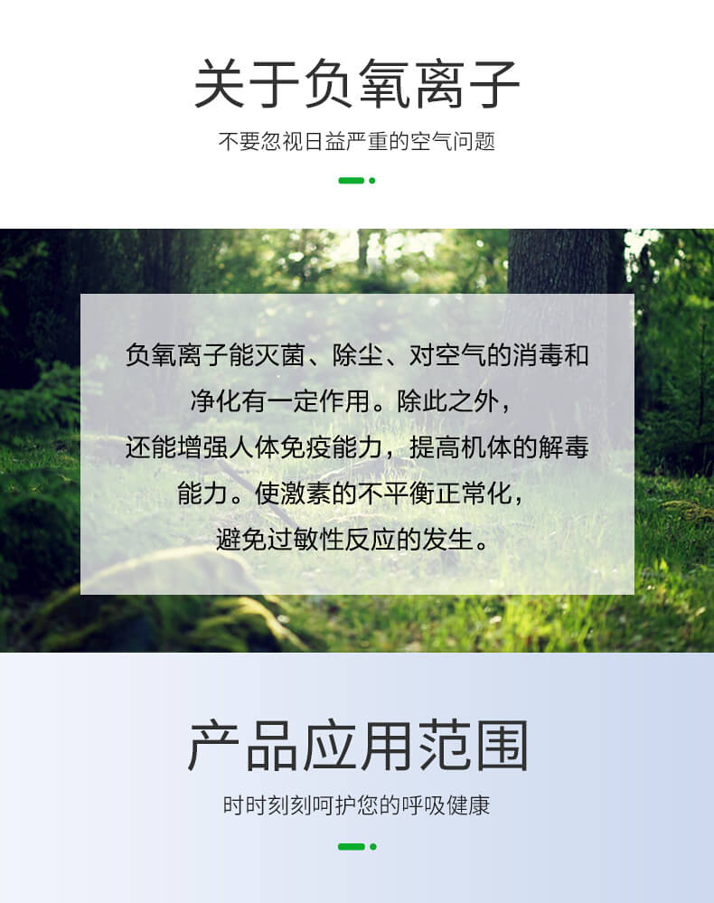 負(fù)氧離子甲醛檢測儀