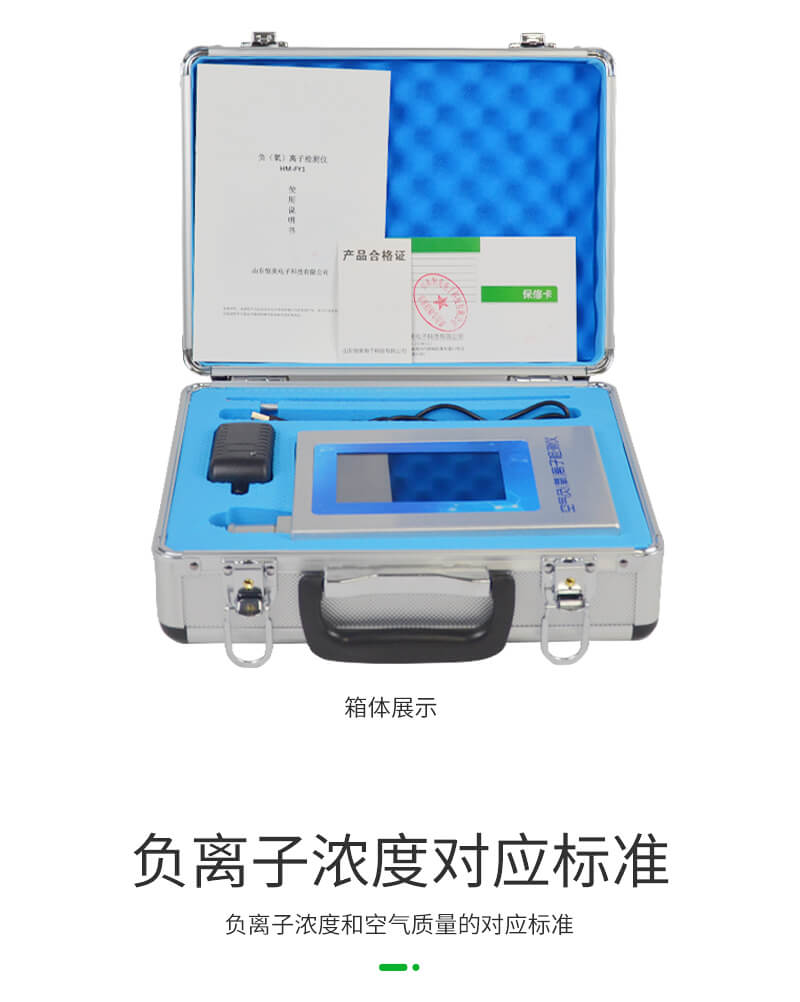 負(fù)氧離子甲醛檢測儀
