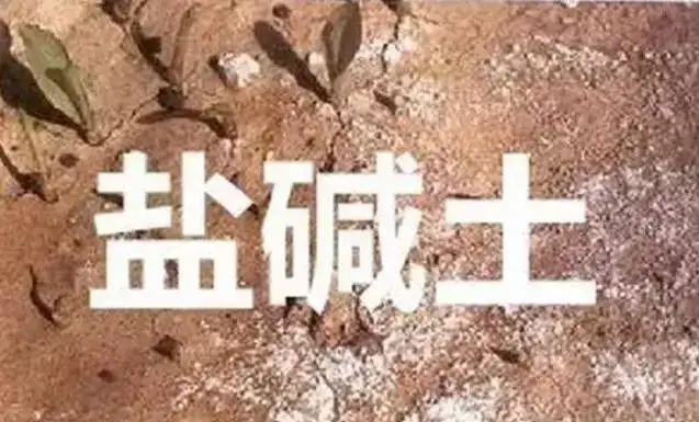 作物為什么生長不健康，用土壤EC計測測便知