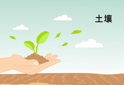 土壤墑情監(jiān)測系統(tǒng)在精細農(nóng)業(yè)發(fā)展中扮演著什么角色？