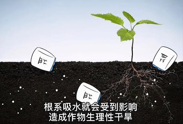 土壤EC值和pH值與作物生長(zhǎng)的關(guān)系，利用土壤鹽分儀緩解土壤鹽漬化