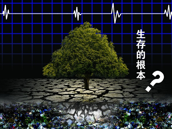 土壤重金屬嚴(yán)重超標(biāo)，土壤修復(fù)離不開土壤檢測儀